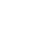 PDF Icon