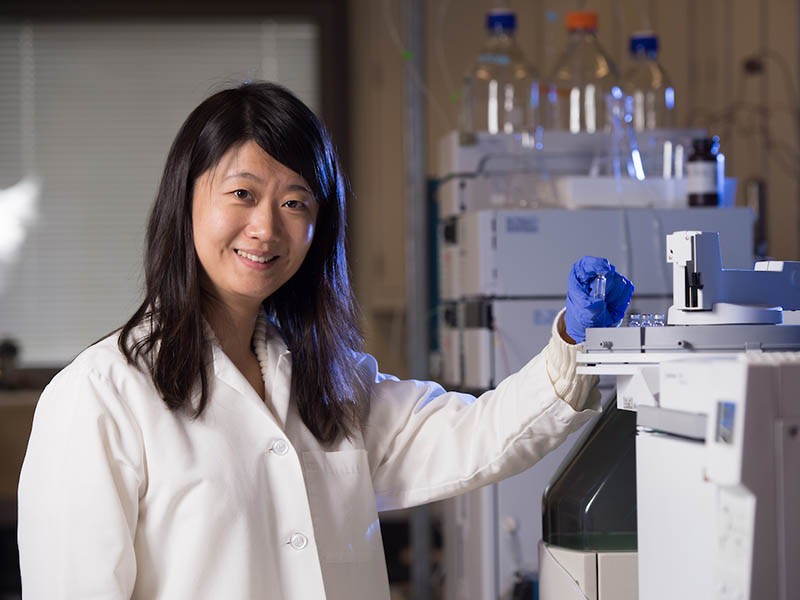 Villanova Engineering Launches Center for Human-Environmental Systems Dr. Vicky Xu