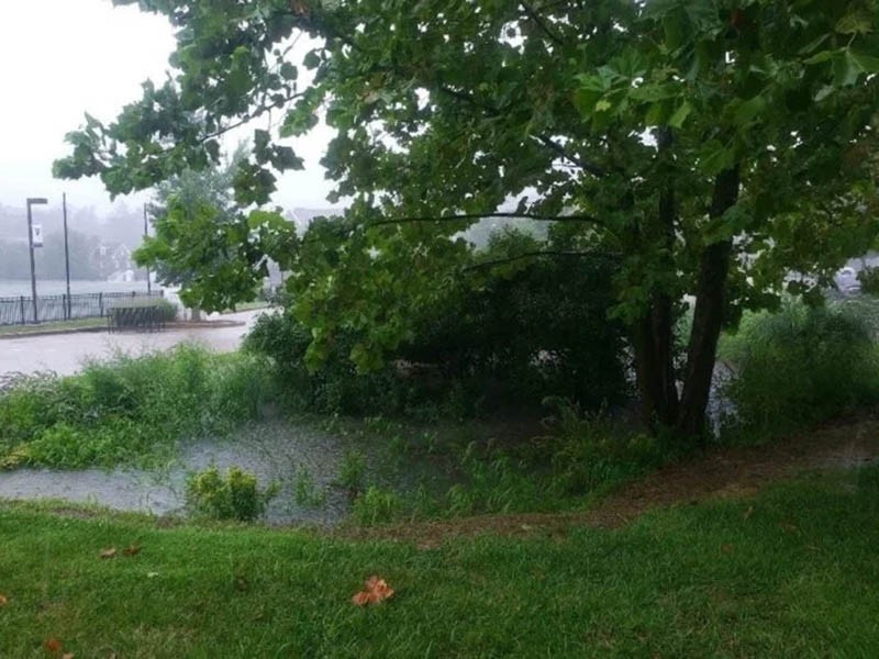 Villanova researchers say rain gardens can be an effective tool for managing stormwater Villanova researchers say rain gardens can be an effective tool for managing stormwater