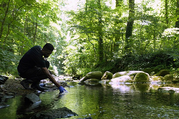 Student collects a sample in a stream.