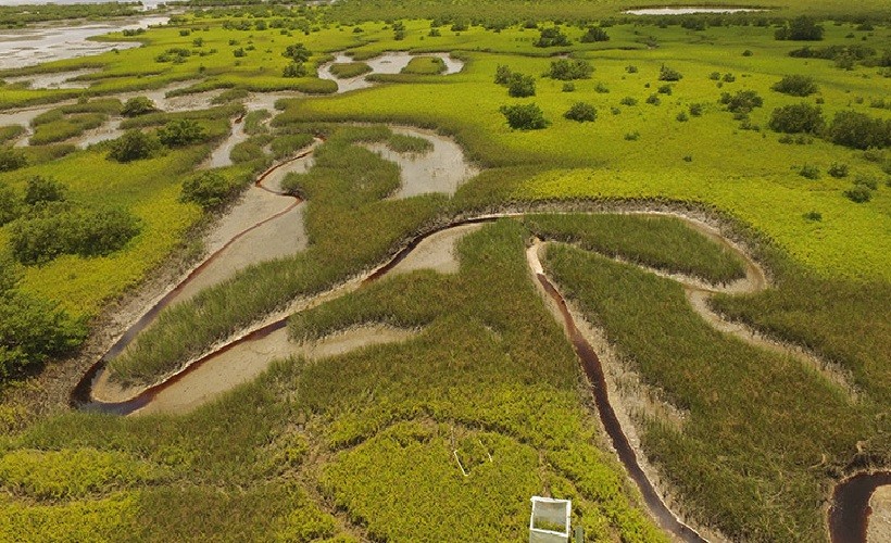 An aerial view of a wetland. An aerial view of a wetland.