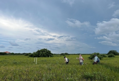 Langley Chapman Wetlands