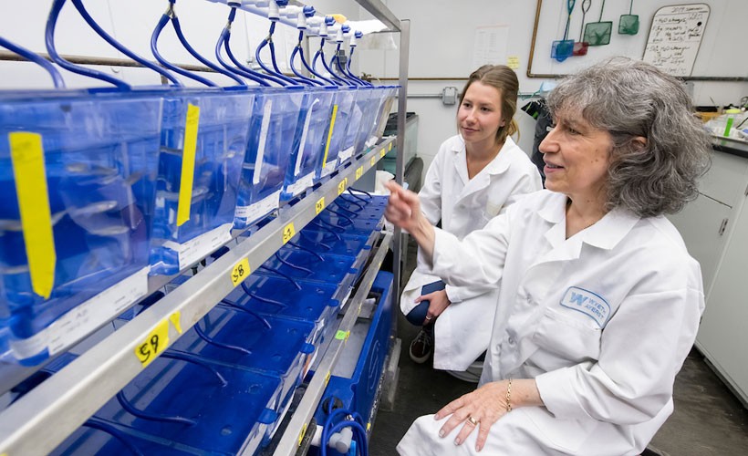 Biology professor and student in lab