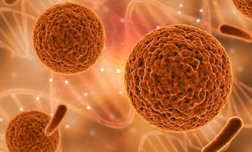 827773472 Medical Background with Various Cells