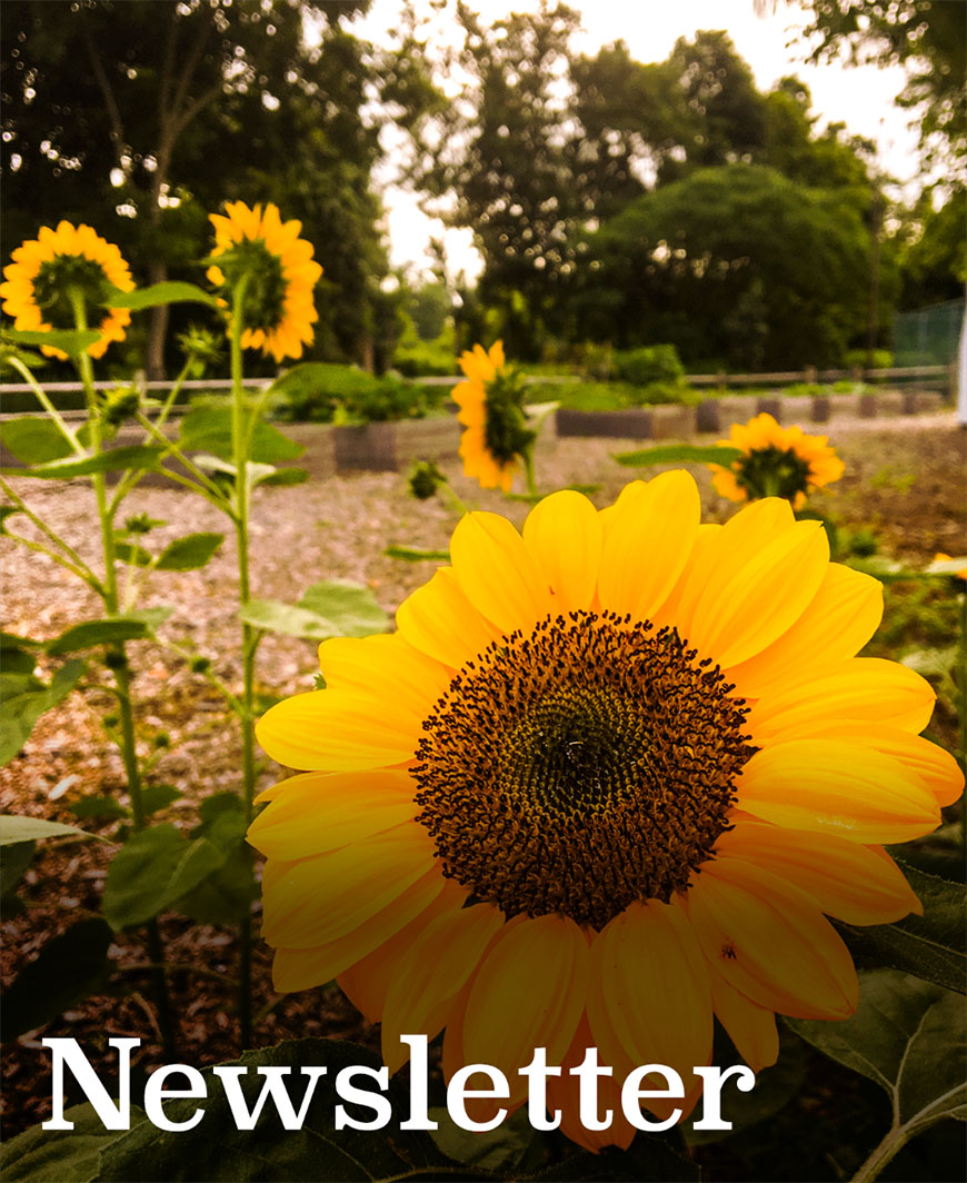 newsletter graphic link to newsletter page