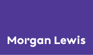 Morgan Lewis_Resources_v1